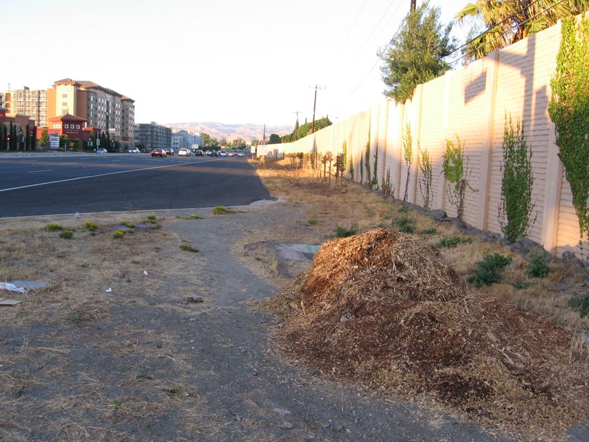 Path to LRT on First Street and probable new bus stop (shown).