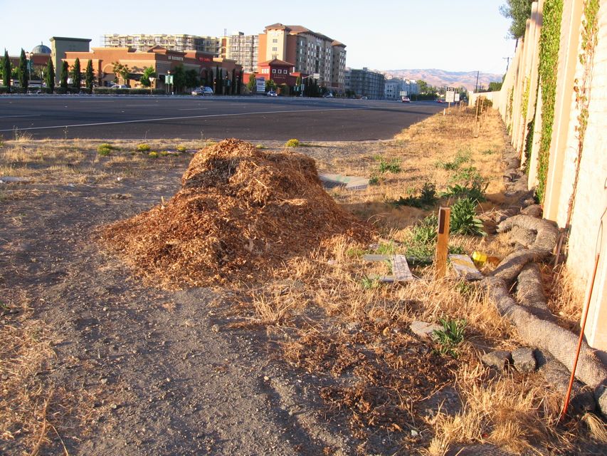 Path now swerves around the sawdust pile dumped on path.