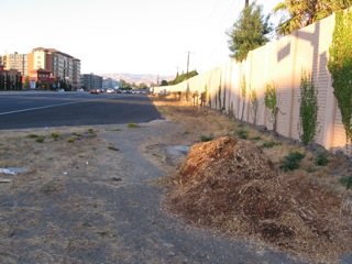 Path to LRT on First Street and probable new bus stop (shown).