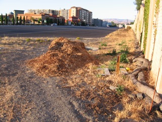 Path now swerves around the sawdust pile dumped on path.