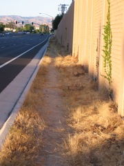 Path near soundwall after widening.