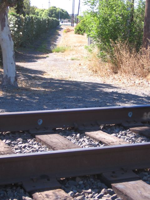 path crossing tracks, possible future ped route.