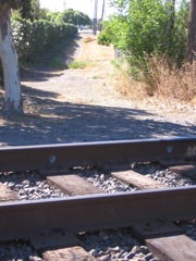 path crossing tracks, possible future ped route.